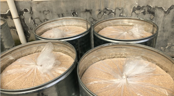 柱狀分子篩圖片 柱狀分子篩圖片